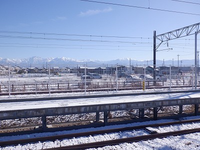 �V�x�R���w�摜