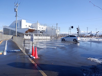 �V�x�R���w�摜