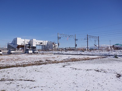 �V�x�R���w�摜