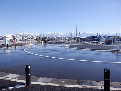 �V�x�R���w�摜