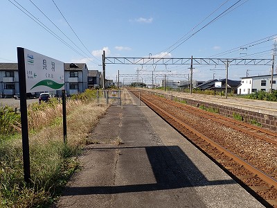���H�w�摜