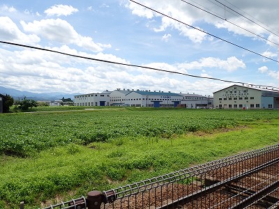 w摜