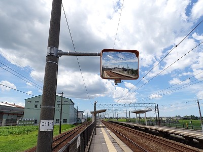 w摜