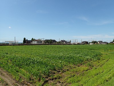 w摜