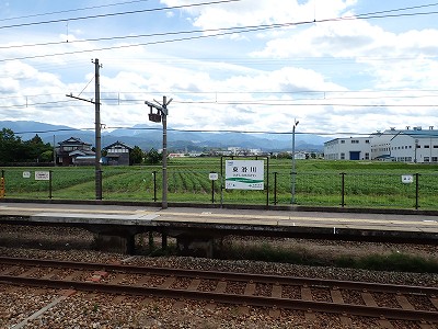 w摜