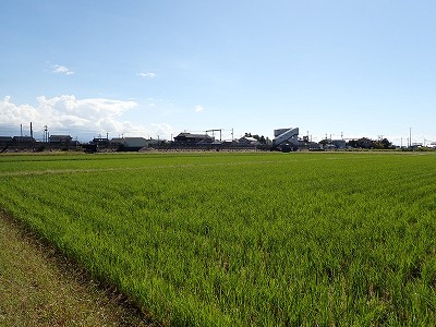 Pw摜