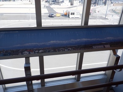 �V�x�R���w�摜