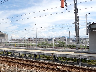 �V�x�R���w�摜