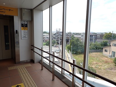 �V�x�R���w�摜