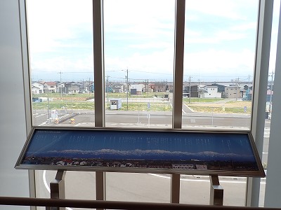 �V�x�R���w�摜