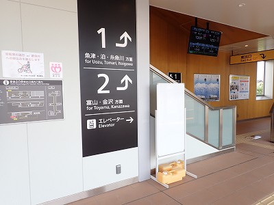 �V�x�R���w�摜