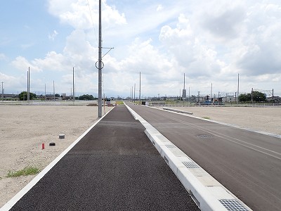 �V�x�R���w�摜