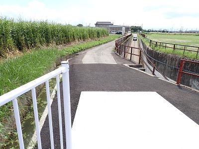 �V�x�R���w�摜