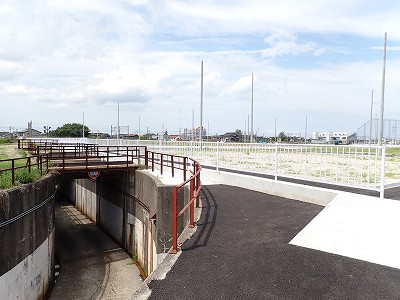 �V�x�R���w�摜