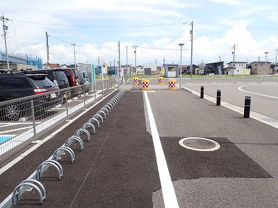 �V�x�R���w�摜