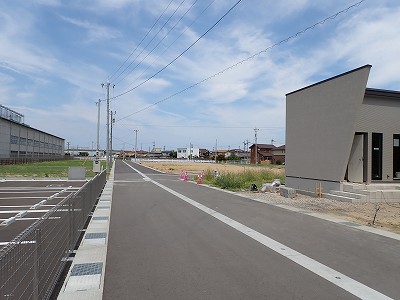 �V�x�R���w�摜