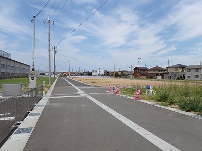 �V�x�R���w�摜