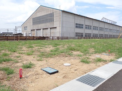 �V�x�R���w�摜