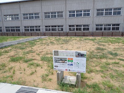 �V�x�R���w�摜