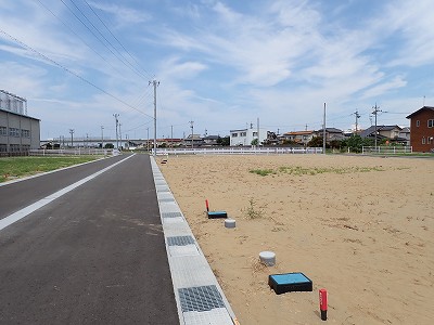 �V�x�R���w�摜