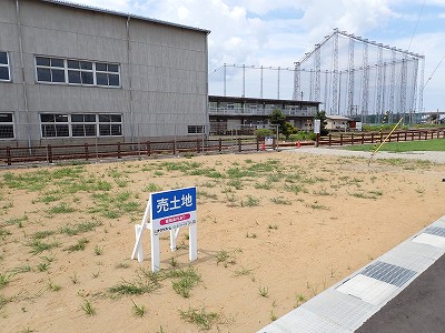 �V�x�R���w�摜