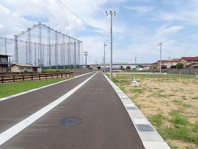 �V�x�R���w�摜