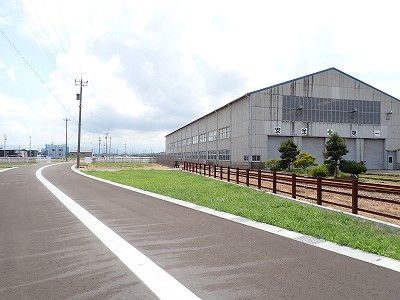 �V�x�R���w�摜