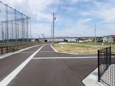 �V�x�R���w�摜