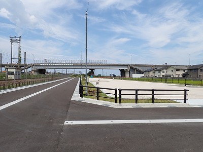 �V�x�R���w�摜