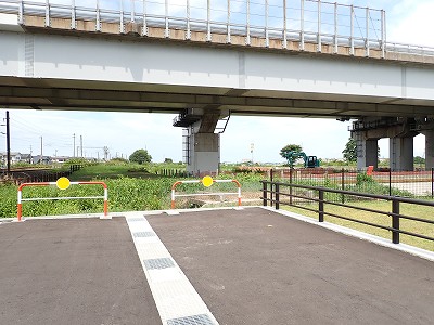 �V�x�R���w�摜