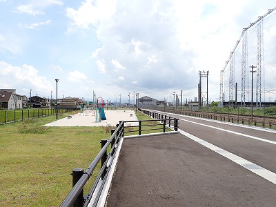 �V�x�R���w�摜