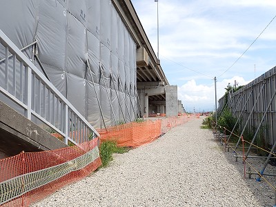 �V�x�R���w�摜