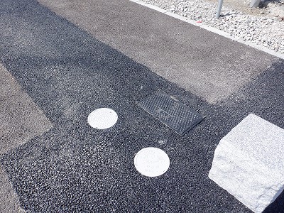 �V�x�R���w�摜