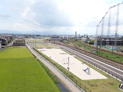 �V�x�R���w�摜