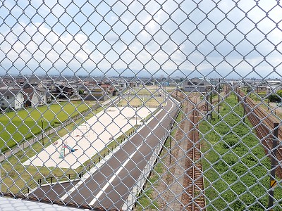 �V�x�R���w�摜