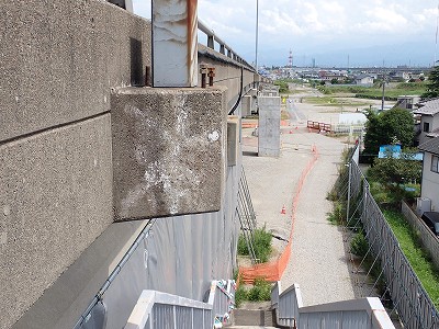 �V�x�R���w�摜