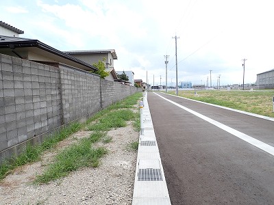 �V�x�R���w�摜