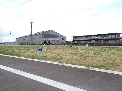 �V�x�R���w�摜