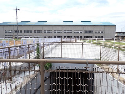 �V�x�R���w�摜