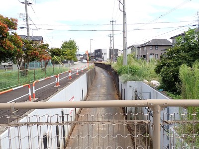 �V�x�R���w�摜