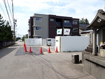 �V�x�R���w�摜