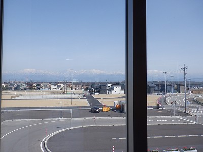 �V�x�R���w�摜