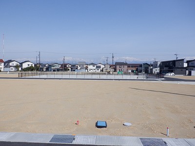 �V�x�R���w�摜