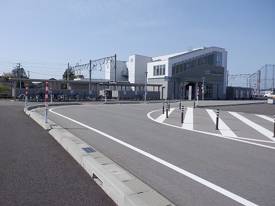 �V�x�R���w�摜