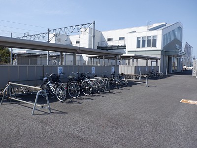 �V�x�R���w�摜