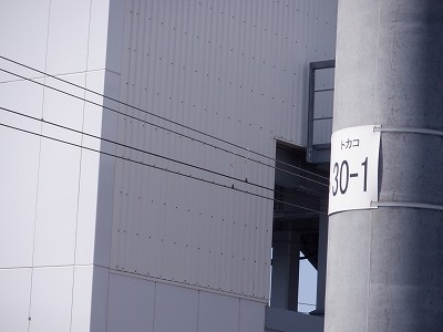 �V�x�R���w�摜