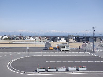 �V�x�R���w�摜