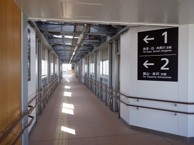 �V�x�R���w�摜