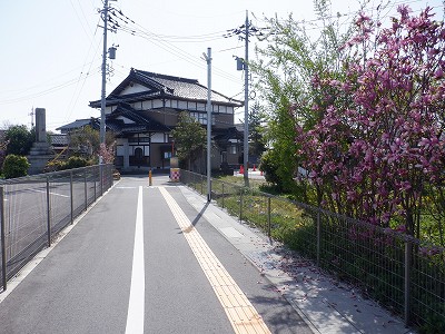 �V�x�R���w�摜