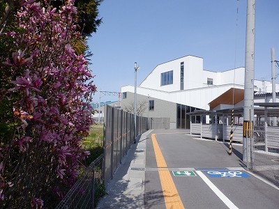 �V�x�R���w�摜